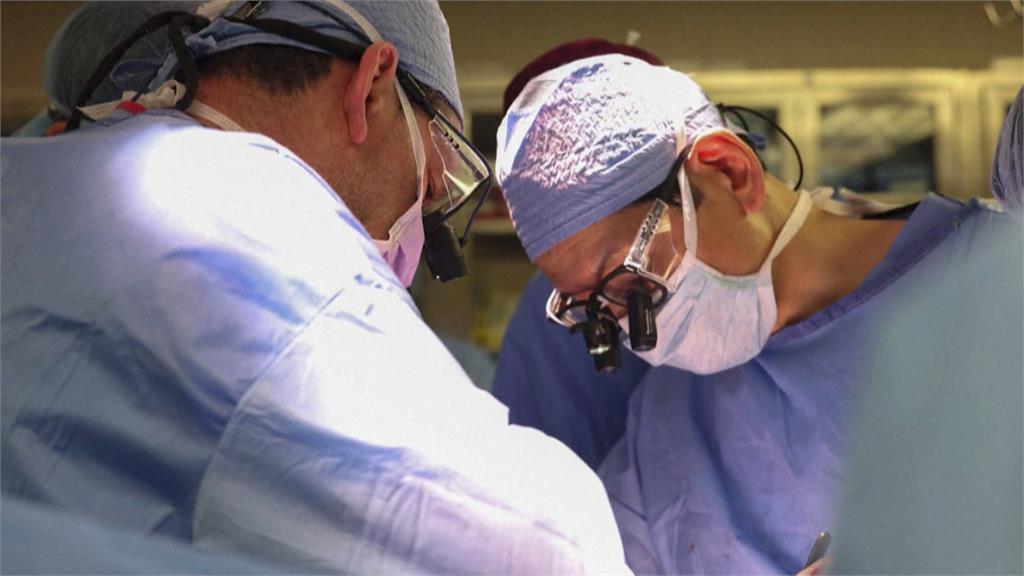 全球首例! 62歲洗腎男 成功移植「豬腎」