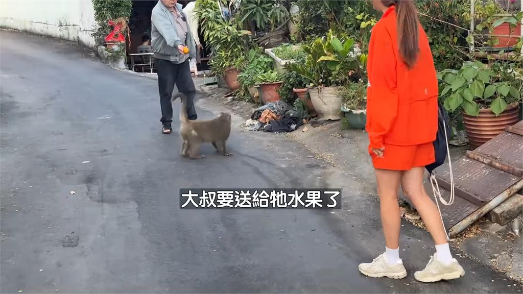 韓妞超喜歡猴子!特別遊壽山和牠比愛心合照 幸福喊:真的太可愛了