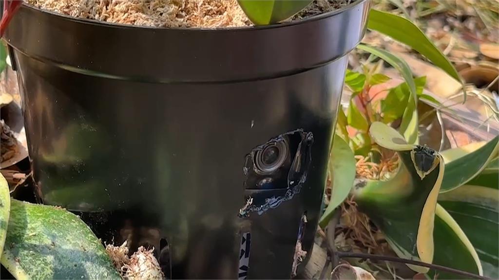 修法禁投開票所藏密錄器 綠要藍營別再心虛杯葛