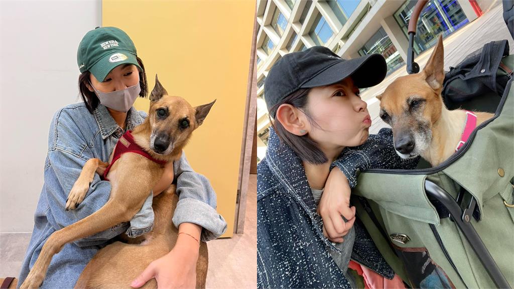 米可白「20天急砸9萬」救愛犬!哀嘆「這1句」全網心酸了:一定是捨不得