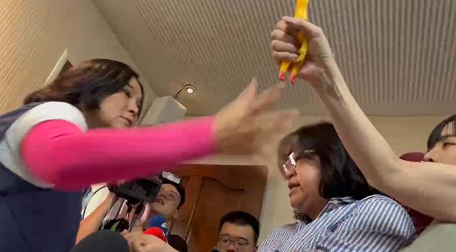 快新聞/陳玉珍動手搶「尖叫雞」、撕毀綠委道具 郭昱晴慘遭陳玉珍抓傷