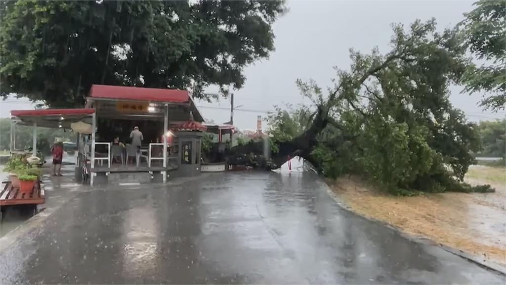 南部大雨多地路樹倒塌　高雄鳳西羽球場漏水現「小瀑布」