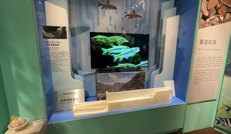 台電攜手科博館推"生態特展" 展出電力場域10明星物種