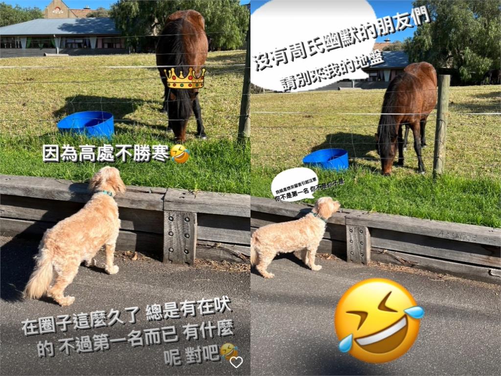 周杰倫新專輯奪冠遭轟「最廢的一張」 本人罕見開嗆:總有在吠的