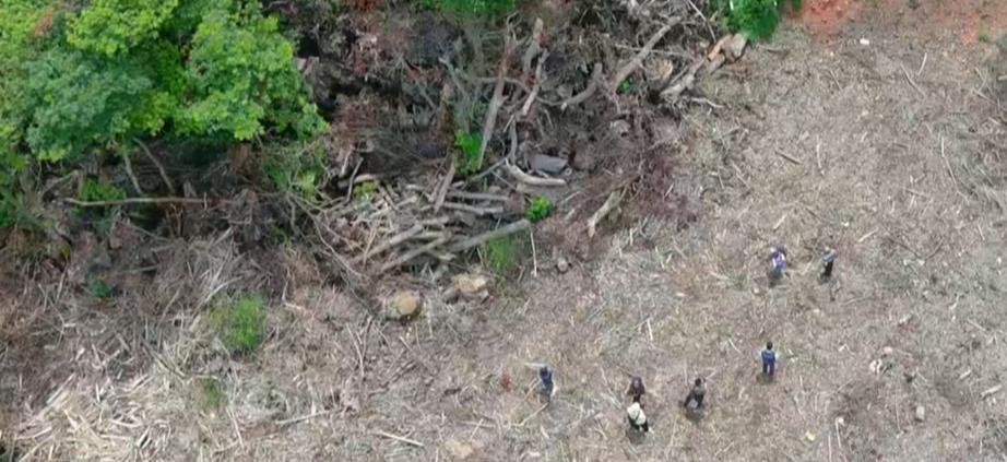 三義保育山坡地遭濫倒 垃圾山面積大如足球場