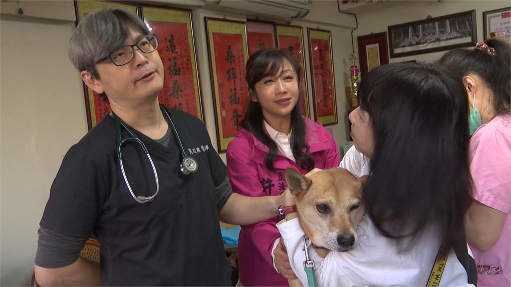 北市松信區立委戰鼓響 綠營三人有意角逐 藍營徐巧芯挑戰費鴻泰