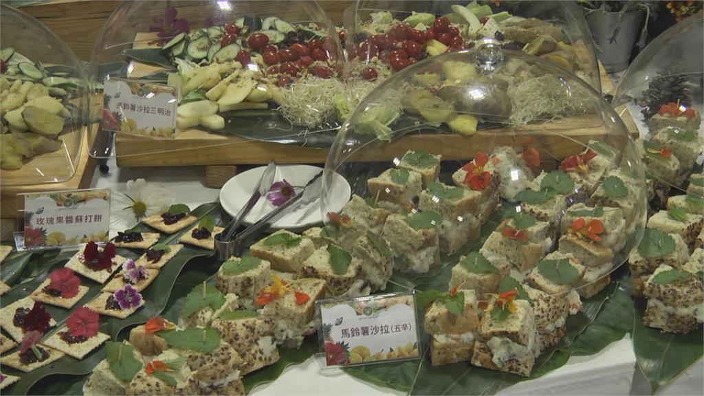 國際素食博覽會花博登場! 上百攤位、伴手禮供民眾挑選