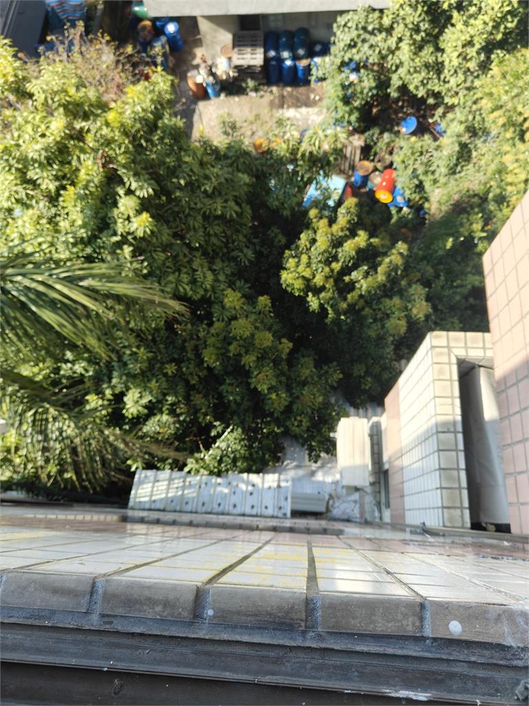 疑為撿玩具！男童從５樓墜落２樓屋頂　幸隔熱材料救一命