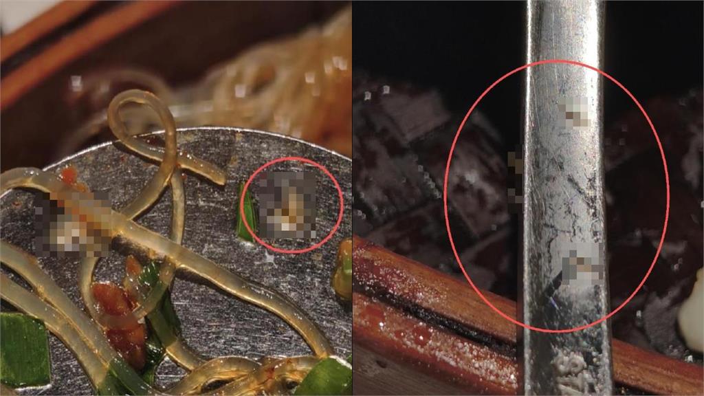 超噁！整盤魚「爬滿這蟲」他吃到一半驚見它們「狂蠕動」整桌都崩潰
