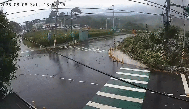 網傳龍捲風掃過淡水「火花四濺」恐怖視角曝！路樹狂搖「碰一聲」炸了