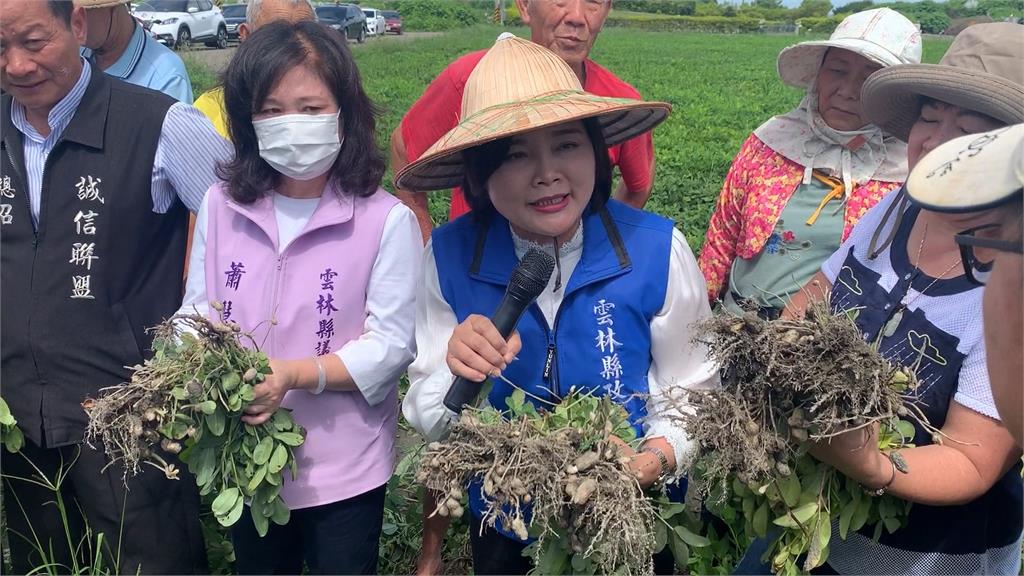 美花生零關稅！　張麗善喊「滅農」　陳駿季：別唱衰台灣　共同提升農民所得