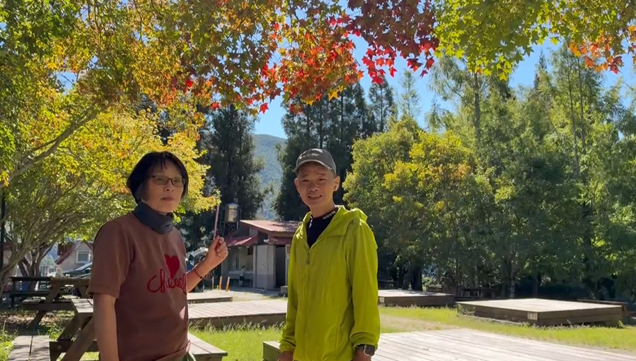 武陵農場迎賓楓提前轉紅！　遊客驚喜　感受秋意濃