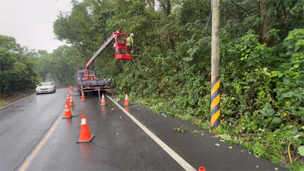 彰化林蔭大道疑樹枝未修剪　枝幹險砸車驚險畫面曝光