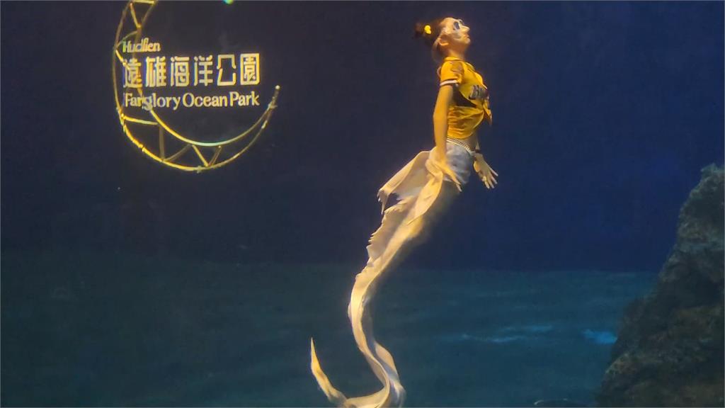 花蓮海洋公園「人魚賽事」登場!多國美人魚齊聚水中競技