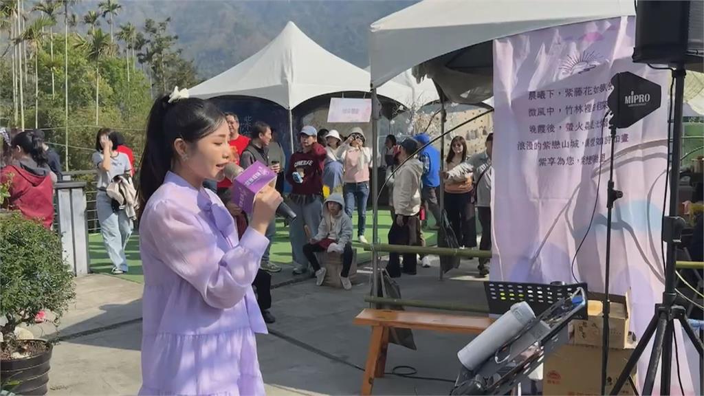 嘉義瑞里紫藤花盛開! 邀歌手楊淨宇獻唱迎美麗花季