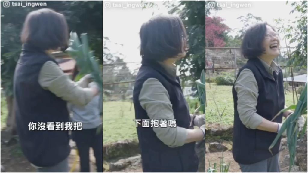 影／退休老人「下地拔菜」竟是蔡英文！對決粗勇青蔥「狂遮被抓包」超羞回嘴了
