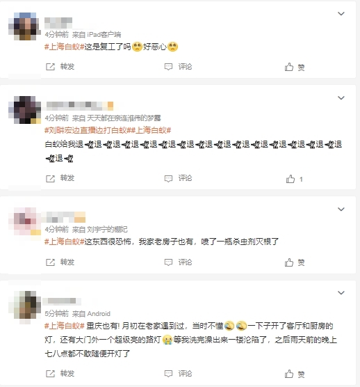 劉畊宏住家遭白蟻入侵！直播「飛進愛妻衣服裡」現場混亂畫面曝光