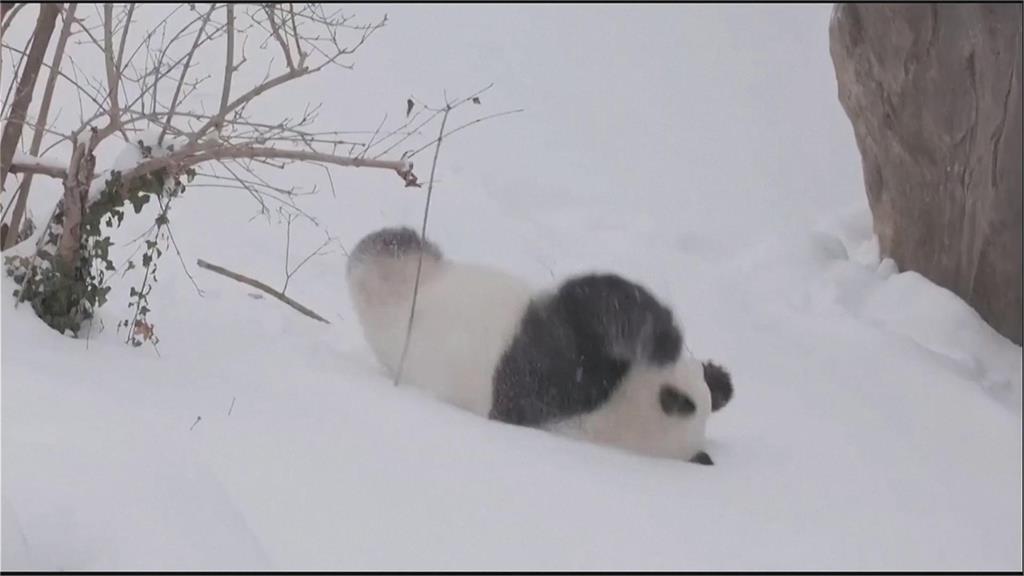 美國風雪奪命! 七州進入緊急狀態交通事故頻傳釀死傷