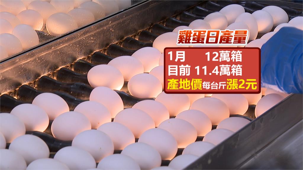 下週蛋價傳調漲2元　早餐業者苦　農委會祭補助　推平價專區