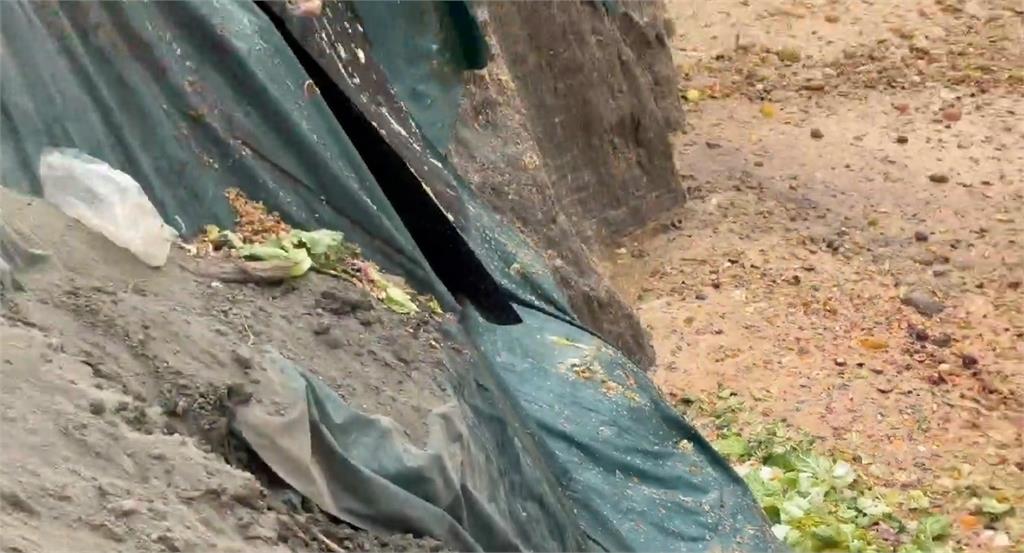 稽查"廚餘養豬場"倒數第二! 綠議員怒批中市府:太廢