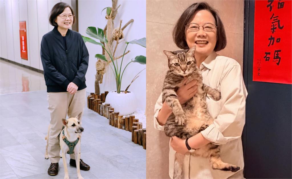 元宵遶境「扛轎大姐」竟是蔡英文！被抓包「急澄清1句」網笑：到底誰逼她的