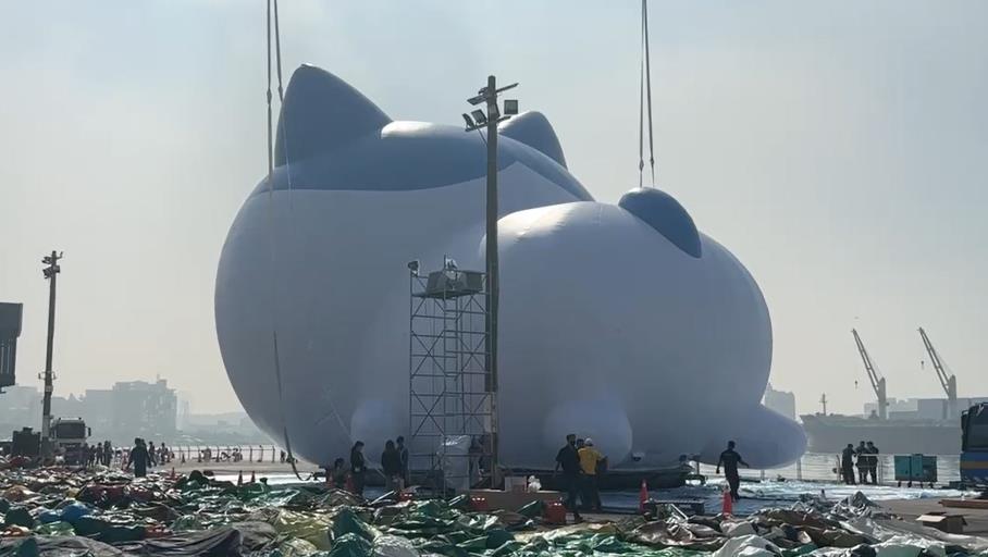 快新聞/吉伊卡哇、小八貓上班了!超萌下水畫面曝 兔兔烏薩奇還在賴床