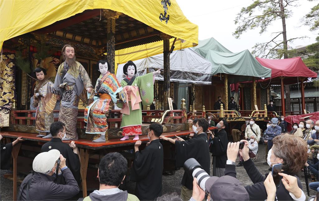 夢幻！日本東北櫻花滿開　108棵垂枝櫻夢幻隧道