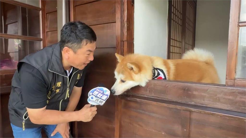 嘉義鹿麻產車站「狗站長」上任 飼主笑:可能會翹班