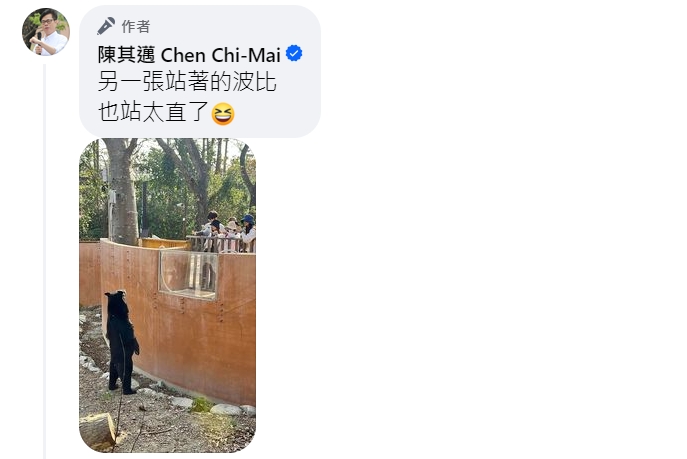 快新聞／壽山動物園台灣黑熊波比過年「站超直」吸客　網笑：陳其邁去打工？