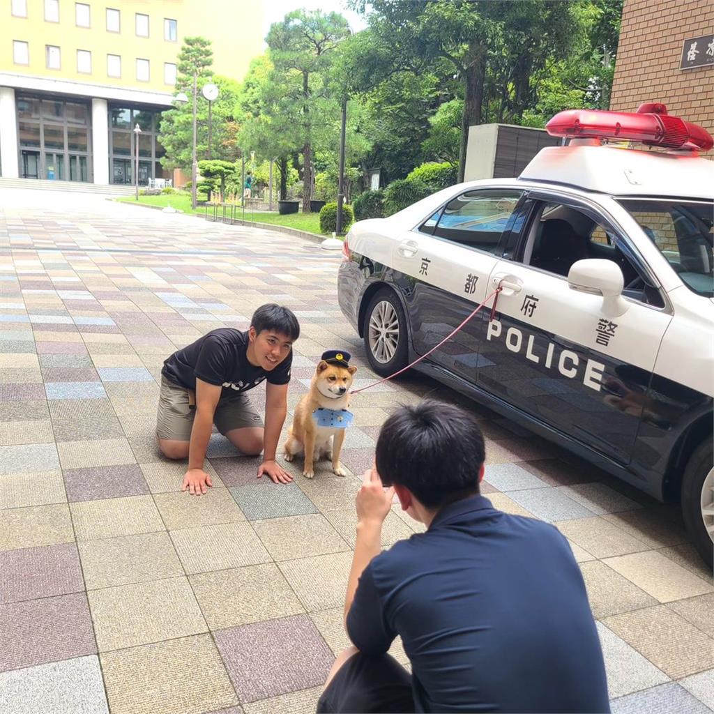 4歲柴柴命運大變身!「遭棄養」→「一日警犬」值勤影片萌翻全網