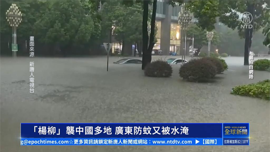 楊柳襲廣東「防疫排水堵塞」釀災　民眾怨：淹水根本是人禍