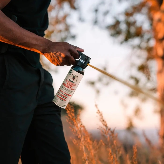 快新聞／出遊注意！美官方發布日本「熊害警示」　防熊噴霧出租大受歡迎