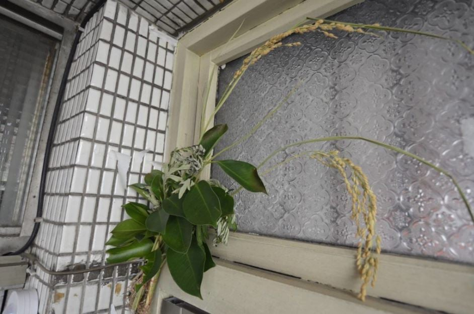 柯柏成曝4月5日清明節掃墓禁忌,這4生肖務必早去早回!