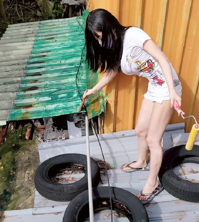 她為救流浪貓「擅闖鄰居屋頂」!網看照片秒改風向:彭小姐是對的