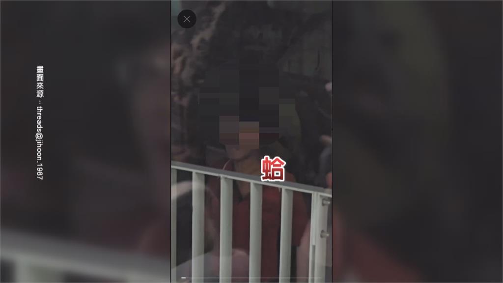 走在輕軌軌道上不滿被叭　男子等車進站飆罵司機員