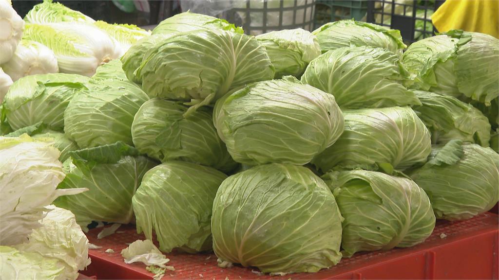 菜價居高不下! 高麗菜1斤70元 漲幅達50% 菜籃族喊錢變薄! 高麗菜1斤70元 漲幅達50%