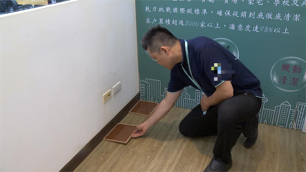 台北爆鼠患! 命理師"去年精準預言" 網挖出影片驚呆