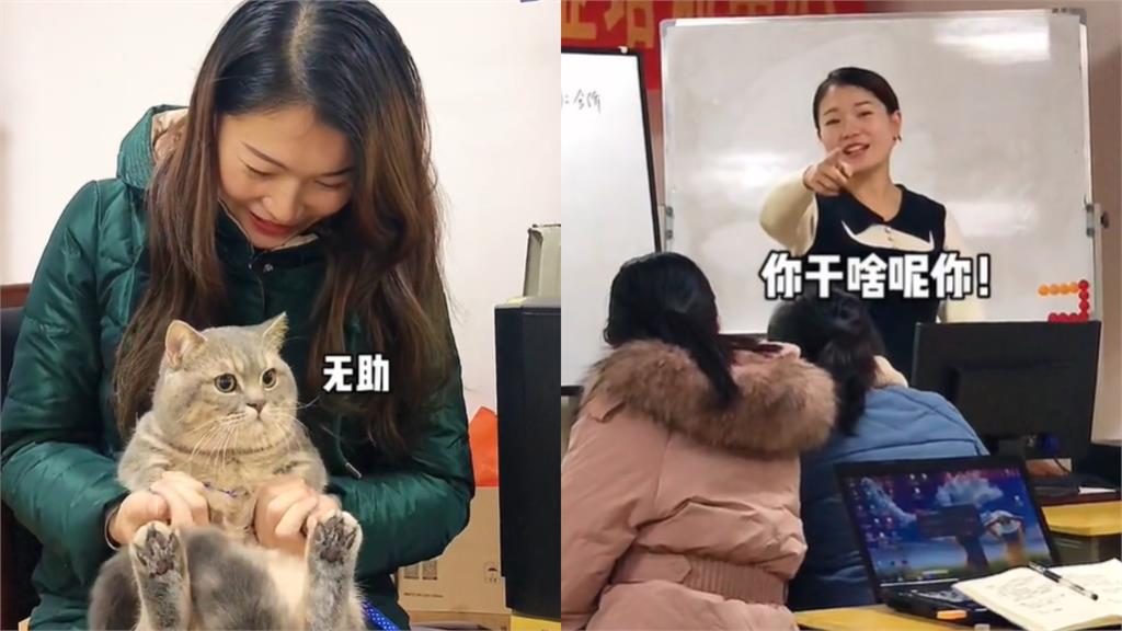 留下來…或者我跟你走!女大生無奈偷帶貓上課「身體捲曲藏抽屜」萌翻網