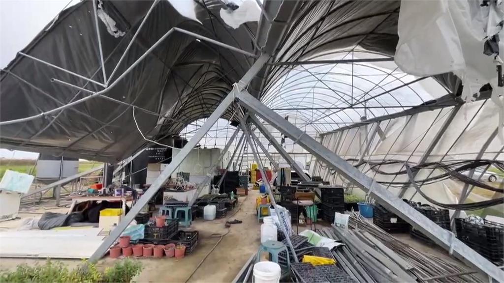 丹妮絲過後嘉南溫室與雞場未復原　又逢鳳凰來襲