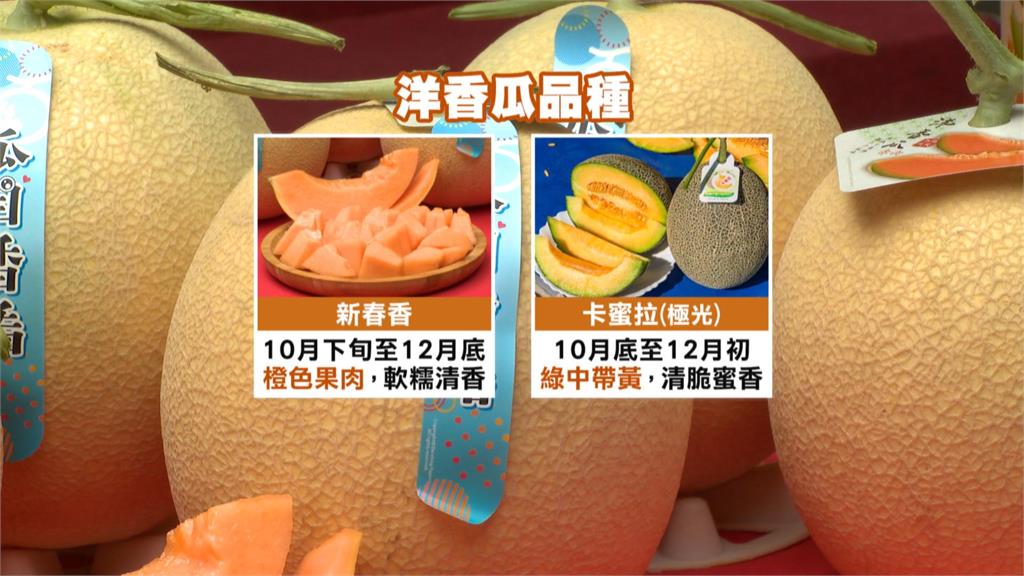 在地好味道!綠委推廣在地農產 後壁果農北上立院端出清甜洋香瓜