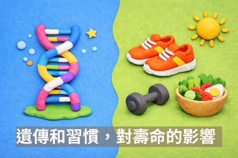 醫揭「長壽密碼」CP值超高！維持4大習慣「抵銷6成基因風險＋多活5年」