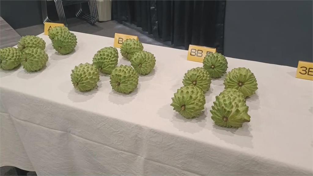 疑介選手段!台東釋迦銷中部份卡關 林靜儀痛批「中國是惡劣的買家」