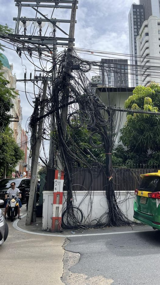 泰國電線桿1奇景網友看傻「這是猛毒吧?」 內行人解釋「形成原因」