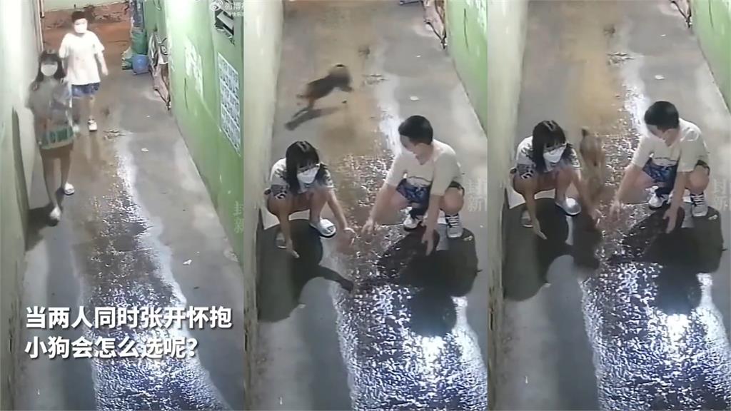 愛犬