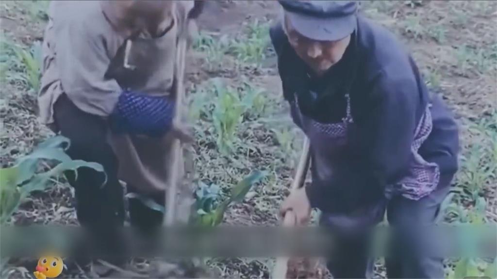 中國誇張亂象！人工沙塵暴逼搬遷　逼人凍死！多處農村禁燒煤取暖防空汙