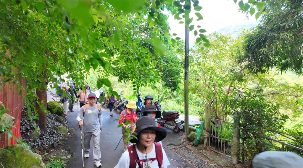 異言堂／聞「蜂」喪膽 登山搜救隊員遭虎頭蜂螫死 專家教自保之道