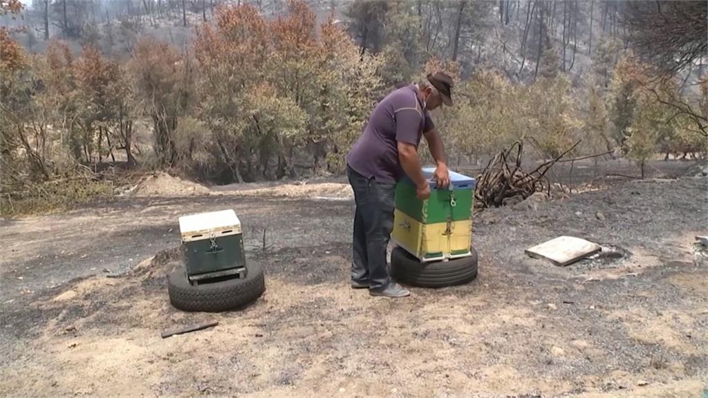 熱浪襲捲希臘　野火重創艾維島養蜂業