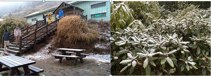 雪霸369山莊飄雪了！雪山圈谷積起70公分厚雪成「銀白世界」