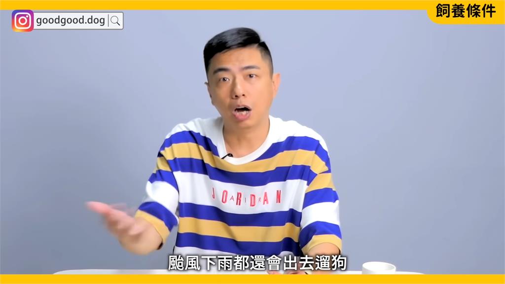 你是適合的主人嗎?專家解析寵物柴犬特性 「颳風下雨都要遛狗」勸:三思