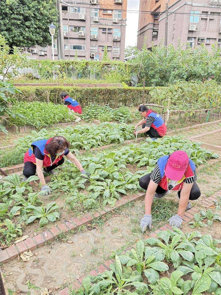 新北里環境認證 優質環境掛保證 800里參與突破新高 各里營造獨特環保特色